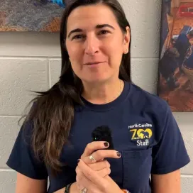 Today is World Veterinary Day 🩺 and when we asked members of the Vet Team what their favorite thing about their job is and they all have almost the same exact answer! 😂 Our incredible team of veterinarians and veterinary technicians provide world-class care to the animals here at the Zoo and we couldn’t be more grateful for every single one of them! ❤️