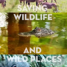 Everyday is Earth Day at the North Carolina Zoo 💚