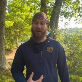 Today is Arbor Day! So, who better to chat with than our very own treekeeper 😉 (arborist) Brendan 🌲🌳🌴 Learn about our arbor team at the Zoo, what they do, and why trees are so important! We 💚 trees!