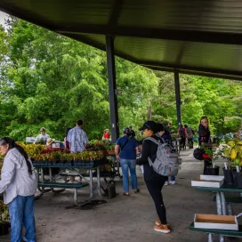 We’re only 5️⃣ days away from this year’s plant sale! A few important things to remember…The plant sale is one day only, on Saturday, May 2 from 8 a.m. - 3 p.m. Types of plants for sale will be varieties of natives, succulents, and cacti. We can’t wait to see you there! 💚
It will be held at the Solar Pointe picnic area at the south end of the North America Parking lot near the North America entrance. ☀️
Forms of payment accepted: cash, checks, and card! All proceeds from the Plant Sale will directly benefit the Zoo's Horticulture Department. 💰
‼️ Zoo admission is not required to shop the plant sale. ‼️