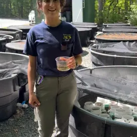 Shaina is here this #SalamanderSaturday to chat about the Tiger Salamander headstarting project at the Zoo! Tune in to learn all about the project! 😎🌿