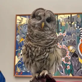 Dude, we agree! Birds riiiiiiip at every age🦜😍
Your visit to the Zoo supports our conservation work across the globe, from birds in the Mariana Islands to carnivore species in Africa and even right back here in North Carolina with native species we know and love. Give us a follow for conservation updates, fun facts, and of course to see beautiful animals! 🌎🌍🌏