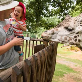 Happy Father's Day to all the fathers and father-figures out there! 💚
If you’re visiting today, don't forget to mention the Father’s Day offer at the admission gates and receive a $3 discount on dad's admission to the Zoo! ✨
May not be combined with other offers. Discount not available for online tickets. Expires 4 p.m. June 21, 2026.