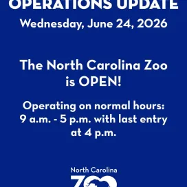 The North Carolina Zoo, Wildlife Rehabilitation Center, and hiking trails are open today, June 24! Thank you for your patience! ☀️