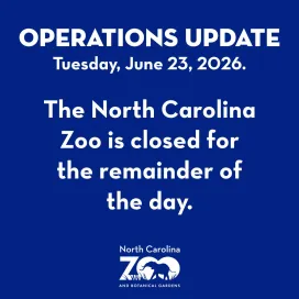 Operations Update: Tuesday, June 23, 2026.
Due to repairs on a City of Asheboro water line, the North Carolina Zoo, wildlife rehabilitation center, and all hiking trails are closed for the remainder of the day.