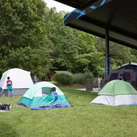 🇺🇸 Calling all veterans and military families! Join us for a special Veterans Family Campout at the North Carolina Zoo on Tuesday, November 10, 2026.
Experience the Zoo after hours with an evening walk through North America, enjoy s'mores around the campfire, and take part in fun, hands-on activities for the whole family. During the evening, you'll also learn about the critically endangered American Red Wolf and the Zoo's work to help protect this incredible species. If you're lucky, you may even hear the wolves howl. 🐺
This overnight adventure is open exclusively to veterans and their families and is designed for adults with children ages 6 and older.
To register, head to our website on the Snorin' Safari page or find the link in our bio, where you will be asked to click a link to email us to receive the registration password and exclusive discount code. There is limited availability for this overnight camp!
We hope you'll join us for a memorable night of family fun, wildlife, and conservation. ⛺
