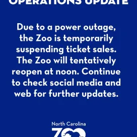 🚨 OPERATIONS UPDATE: Monday, August 3, 2026 🚨
Due to a power outage, the Zoo is temporarily suspending ticket sales. The Zoo will tentatively reopen at noon. Continue to check social and web for further updates!