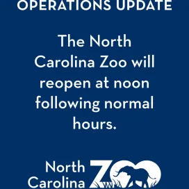 🚨 OPERATIONS UPDATE: Monday, August 3, 2026 🚨
Power has been restored to the Zoo. We will reopen at noon following normal hours. Thank you for your patience!