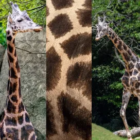 Ready for their close-ups! 📷 😉 🧡 ✨