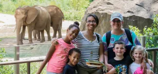 A group of six individuals, appearing to be a group of friends, pose for a photo in front of an elephant enclosure. In the background, two African elephants with their characteristic large ears and tusks stand near a rocky, grassy area. In the foreground, from left to right, a young girl with dark skin and her hair in a bun smiles broadly, wearing a pink shirt; a young boy with dark skin looks towards the camera; a woman with dark skin and glasses, smiles with her arm around the girl.