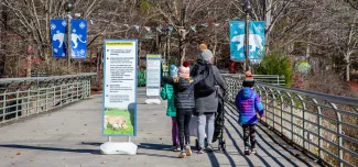 A group of Winter guests entering the Zoo. Three individuals including one adult and two kids walk over a large cement bridge that has tall handrails on either side and two tall informational signs placed at either end. In the background are trees, colorful pennant flags, and blue banners with pictures of Winter animals on them.