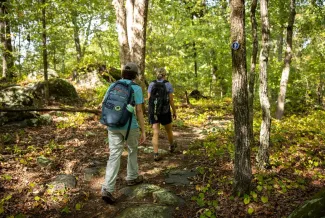 Two hikers on trail