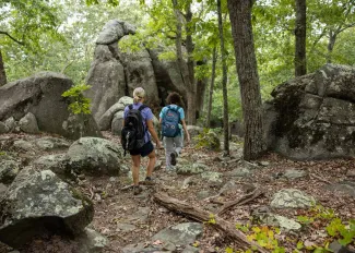 Two adult hikers are seen from behind walking through the woods towards a collection of towering, moss covered boulders.