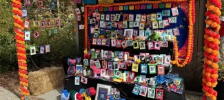Pet Ofrenda with colorful flowers and several photos of pets