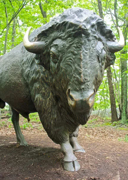 A life-sized bronze statue of a Bison that showcases its shaggy, furry body and its short, upturned horns as it stands in a mulched area surrounded by trees.