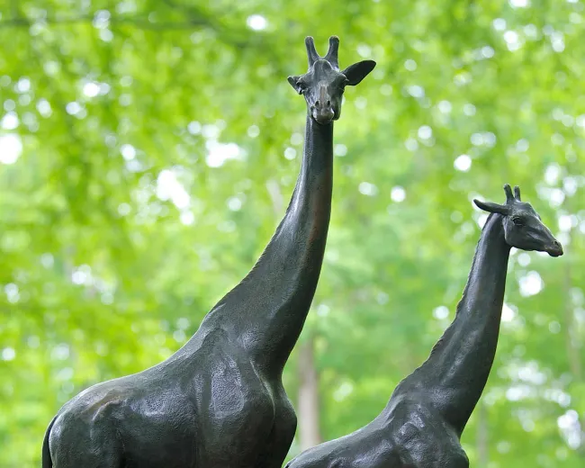 A bronze statue of two Giraffes standing proudly together, looking in different directions. There is a canopy of trees in the background.