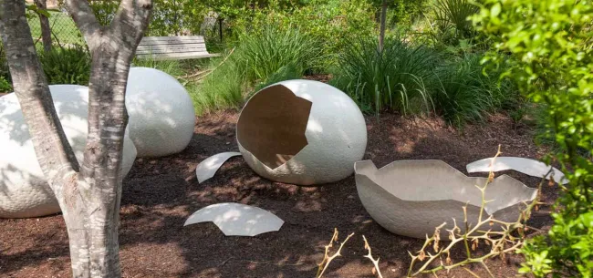 ostrich-eggs-2.jpg Ostrich Egg Interactive