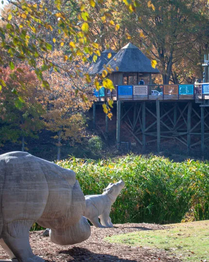 Hippo Beach picnic area overlooking Akiba Bridge.