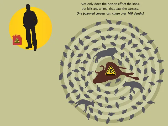 A person with a red container marked with a biohazard symbol is on the left. On the right, a diagram illustrates a dead animal carcass marked with a biohazard symbol, surrounded by silhouettes of lions, hyenas, and vultures, emphasizing the lethal consequences of poisoning in an ecosystem.