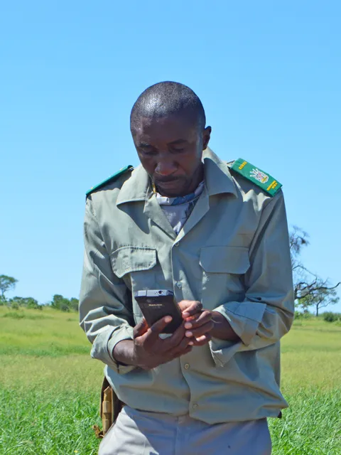 An African ranger, a man with dark skin wearing a tan ranger uniform, stands in a field of tall grass with a SMART handheld device that is black and about the size of a cellphone.