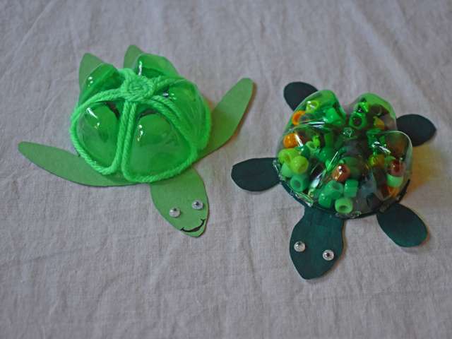Turtle craft
