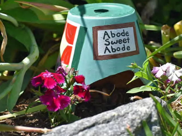 Toad Abode Patterns Arts & More | North Carolina Zoo