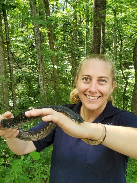 Eastern hognose keeper Audrey Williams