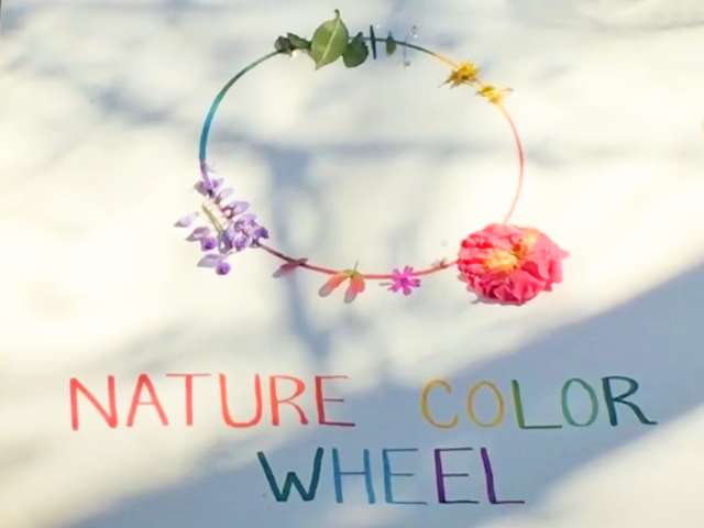 Nature color wheel