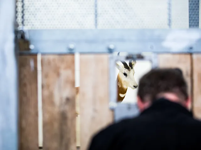 Photographing behind the scenes for grasslands species