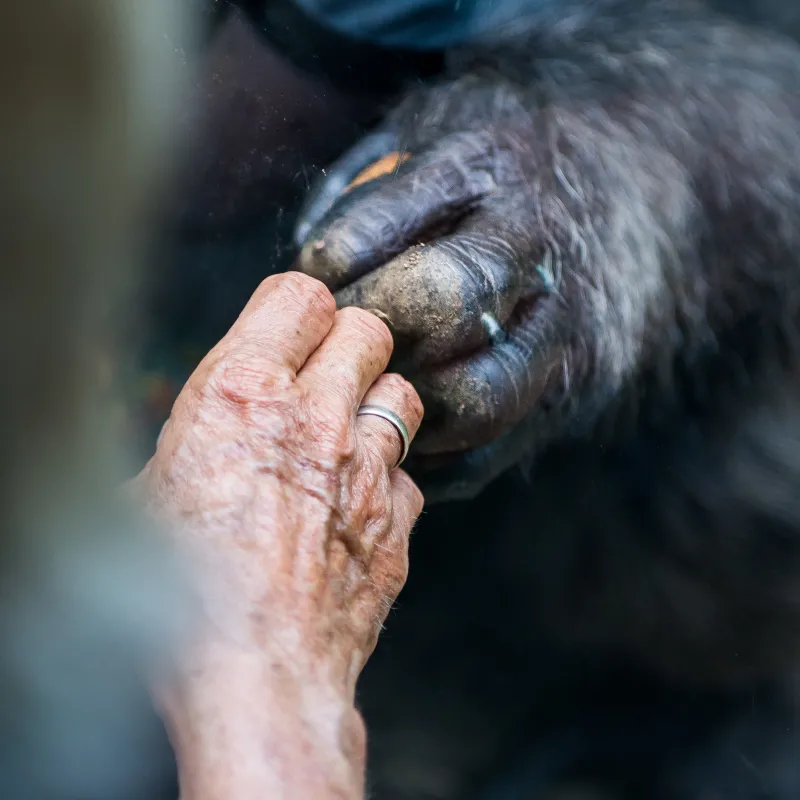 Supporting Zoos Support | North Carolina Zoo