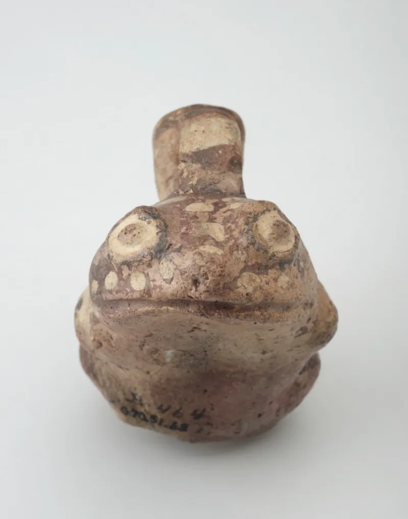 peruvian frog-bottle sensory art