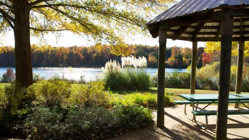 A serene view of a round picnic shelter with a bench under it next to a large tree and looking out across a calm lake that is lined with trees that are changing colors for Fall.