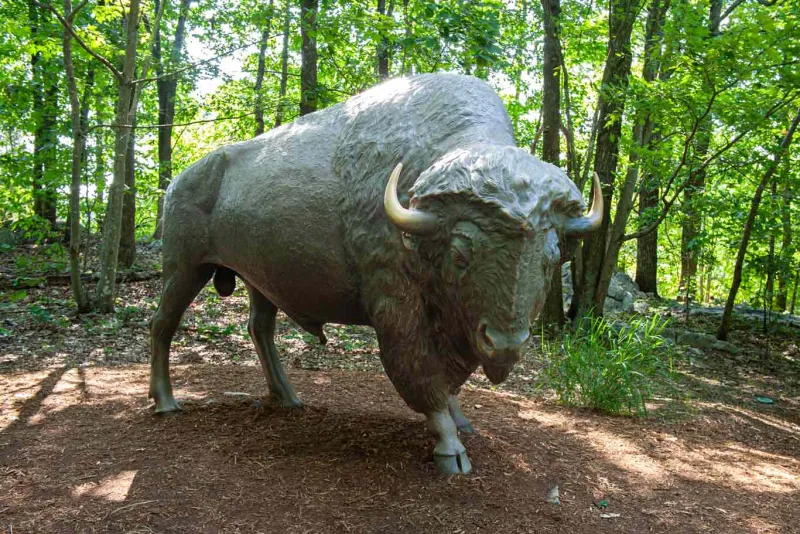 An American Bison in Bronze