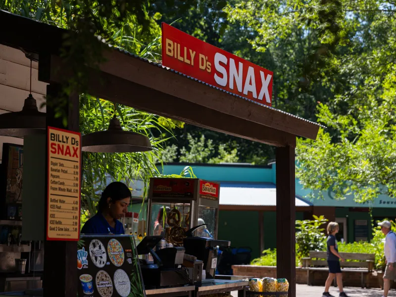 A snack stand called "Billy D's SNAX" with a brightly colored sign is situated outdoors among lush greenery. The stand features a menu board listing various snack items. A person in a blue shirt is working behind the counter.