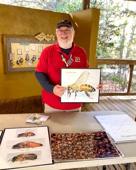 Volunteer standing holding a large diagram of a honeybee at a table with information about bees. 