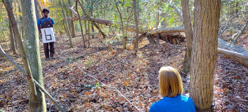 Two Zoo educators shown in the forest. One educator kneels in dry leaves next to a tree as she holds a measuring tape. At a distance, a male educator holds a sign with the number 6 on it.