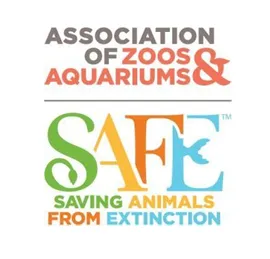 Colorful AZA SAFE logo