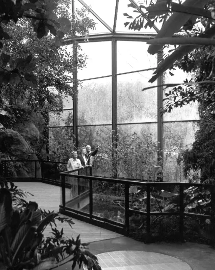 A black and white image of the aviary. Guests point up to the treetops.